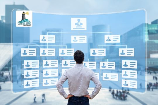 Professional reviewing organizational hierarchy chart